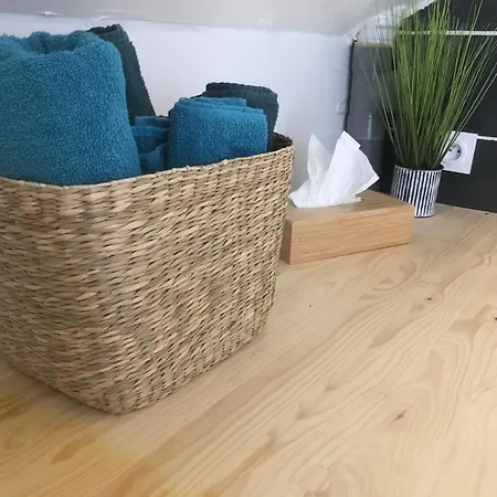 Tatil Evi Les Spas De La Chartreuse *